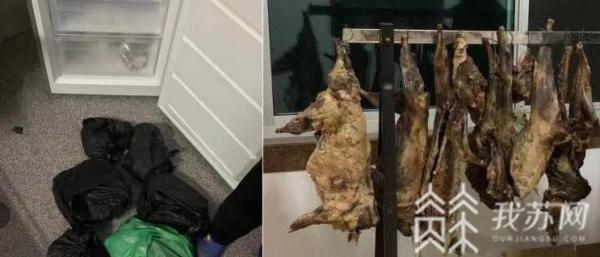 天载配资 残忍！三男子偷宠物狗腌成下酒菜 被采取强制措施